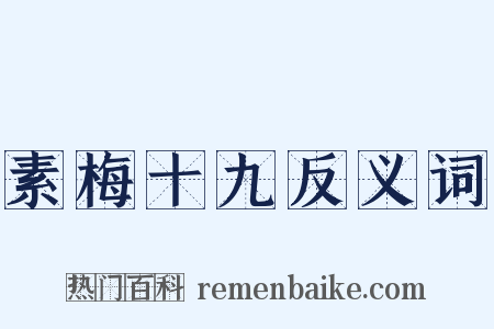 素梅十九反义词是什么意思的图片
